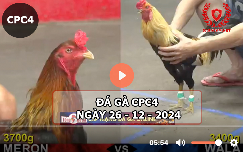 Đá gà CPC4 ngày 26-12-2024