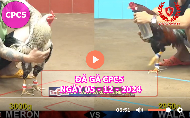 Đá gà CPC5 ngày 05-12-2024